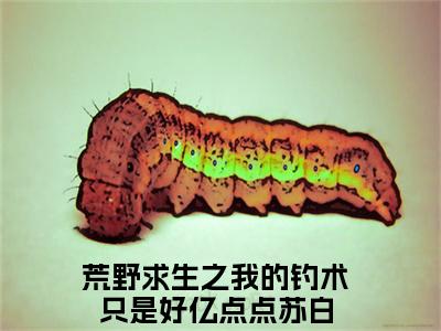 主角是荒野求生之我的钓术只是好亿点点苏白的小说叫什么名字 荒野求生之我的钓术只是好亿点点苏白小说免费阅读