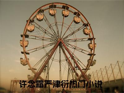 许念霜严津衍小说（许念霜严津衍）全文免费阅读_许念霜严津衍小说精彩在线赏析