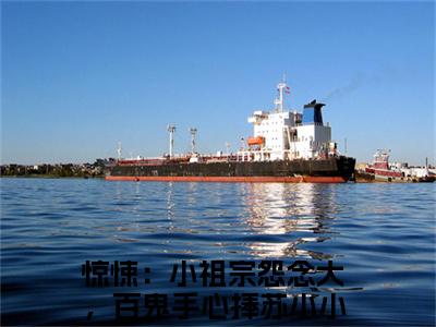 惊悚：小祖宗怨念大，百鬼手心捧苏小小（惊悚：小祖宗怨念大，百鬼手心捧苏小小）多人推荐阅读-精选小说（惊悚：小祖宗怨念大，百鬼手心捧苏小小）完整版免费阅读
