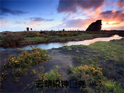 云明染钟璟尧新上热文小说（云明染钟璟尧）讲的是什么-云明染钟璟尧全文完整版免费阅读