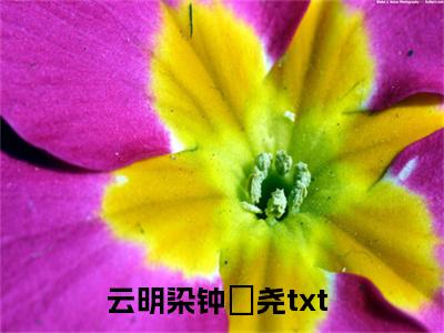 云明染钟璟尧（云明染钟璟尧）全文免费阅读无弹窗大结局_云明染钟璟尧免费阅读无弹窗最新章节列表_笔趣阁（云明染钟璟尧）