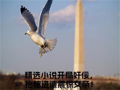 开局奸佞，抬棺进谏震惊女帝！曹琰（开局奸佞，抬棺进谏震惊女帝！曹琰小说）全文免费阅读无弹窗大结局_开局奸佞，抬棺进谏震惊女帝！曹琰小说最新章节列表_笔趣阁（开局奸佞，抬棺进谏震惊女帝！曹琰）