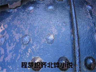 程梦织齐北烨抖音新书热荐程梦织齐北烨-程梦织齐北烨最新小说全文阅读