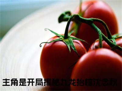 开局揭秘九龙抬棺沈念秋小说全文免费阅读无弹窗-正版小说全文阅读