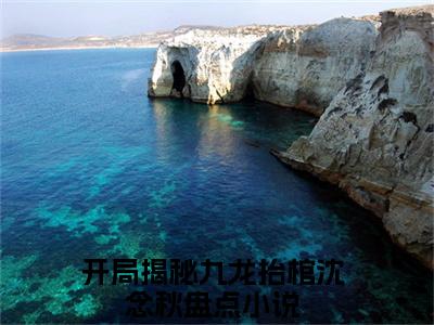 开局揭秘九龙抬棺沈念秋最新章节免费阅读-开局揭秘九龙抬棺沈念秋全文无弹窗试读