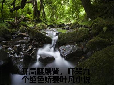 开局麒麟肾，吓哭九个绝色娇妻叶凡（开局麒麟肾，吓哭九个绝色娇妻叶凡）全文免费阅读无弹窗大结局_开局麒麟肾，吓哭九个绝色娇妻叶凡在线阅读（开局麒麟肾，吓哭九个绝色娇妻叶凡）