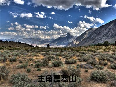 寒山小说在线阅读-主角叫白芷陈子琛的小说（寒山）完整版免费阅读全文