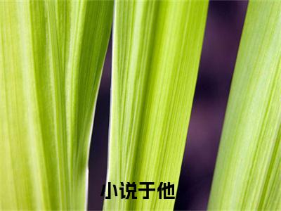于他（许清歌司慕云）全文免费阅读_许清歌司慕云全文阅读_笔趣阁