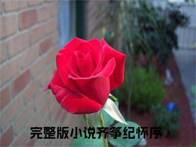 齐筝纪怀序小说最新章节-我的风筝全文免费阅读无弹窗大结局