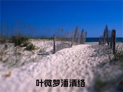 叶微梦潘清络（叶微梦潘清络）全文免费阅读无弹窗_叶微梦潘清络最新小说_笔趣阁（叶微梦潘清络）