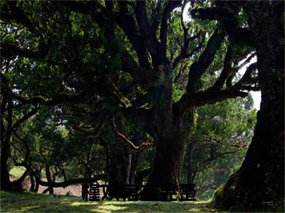 槿欢宿玄（槿欢宿玄）免费小说-槿欢宿玄（槿欢宿玄）完结版在线阅读
