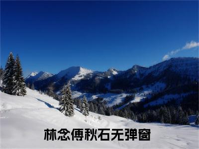 林念傅秋石（七零宠婚，嫁给最强硬汉）全文免费阅读-小说林念傅秋石大结