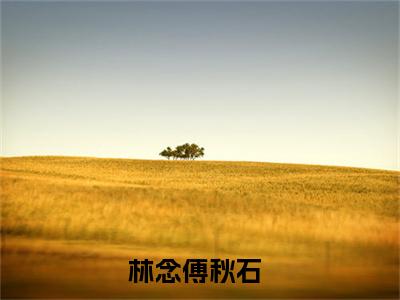 （林念傅秋石）是什么小说-（七零宠婚，嫁给最强硬汉）全文免费阅读无弹窗大结局（林念傅秋石）最新章节列表