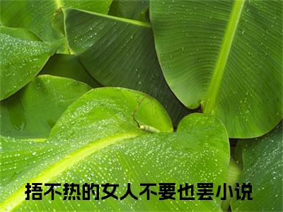 （叶凝语张翰之）捂不热的女人不要也罢小说小说免费叶凝语张翰之读无弹窗最新章节列表_笔趣阁（捂不热的女人不要也罢）