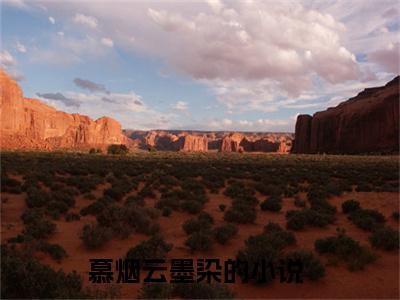 慕烟云墨染（慕烟云墨染）全文免费阅读无弹窗大结局_(慕烟云墨染)最新章节列表_笔趣阁