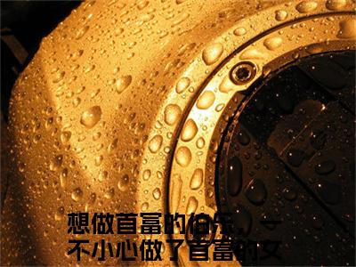傅沉程眠眠小说全文免费阅读_想做首富的伯乐，一不小心做了首富的女人（想做首富的伯乐，一不小心做了首富的女人）最新章节列表笔趣阁