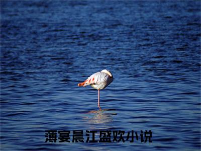 小说薄宴晨江盛欢全文免费阅读 薄宴晨江盛欢小说全文在线赏析_笔趣阁