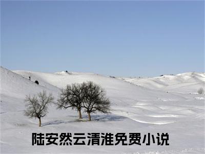 陆安然云清淮爽文免费阅读完整版-陆安然云清淮阅读大结局陆安然云清淮