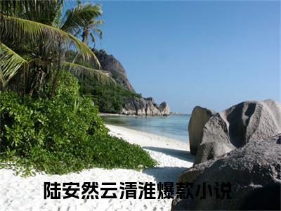 陆安然云清淮全文免费阅读小说今日已更新最新章节_陆安然云清淮全文免费阅读最新章节列表