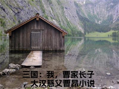 三国：我，曹家长子，大汉慈父曹昂免费阅读（三国：我，曹家长子，大汉慈父曹昂）全文免费阅读无弹窗大结局_三国：我，曹家长子，大汉慈父曹昂免费阅读最新章节列表_笔趣阁