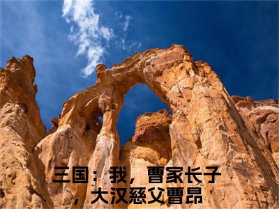 三国：我，曹家长子，大汉慈父曹昂小说（三国：我，曹家长子，大汉慈父曹昂）免费阅读全文无弹窗大结局_三国：我，曹家长子，大汉慈父曹昂免费阅读无弹窗小说_小说笔趣阁