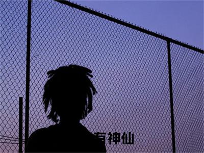 张辰长安有神仙完整版最新小说大结局，张辰免费完结版