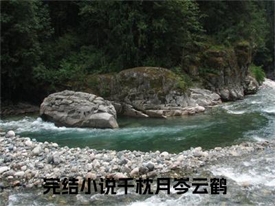 精选小说千枕月岑云鹤（千枕月岑云鹤）全本阅读_千枕月岑云鹤免费阅读_笔趣阁