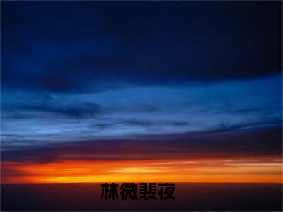 林微裴夜（林微裴夜最新全章节大结局）全文阅读-林微裴夜在线小说免费阅读