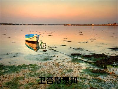 (卫杏穆羡知)卫杏穆羡知小说免费卫杏穆羡知读无弹窗最新章节列表_笔趣阁（卫杏穆羡知）
