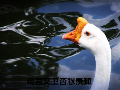 卫杏穆羡知免费卫杏穆羡知读无弹窗最新章节列表_笔趣阁（卫杏穆羡知）