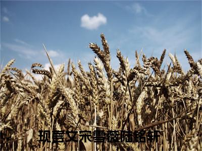 宋雪薇陆铭轩是哪部小说的主角，挺着孕肚闪婚，错嫁豪门大佬免费阅读全文大结局