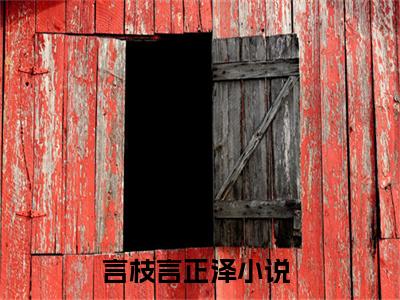 言枝言正泽(言枝言正泽)全文免费阅读无弹窗大结局_言枝言正泽章节列表
