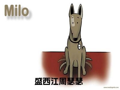 盛西江周瑟瑟免费（盛西江周瑟瑟）全文免费阅读无弹窗大结局_盛西江周瑟瑟免费最新章节列表_笔趣阁