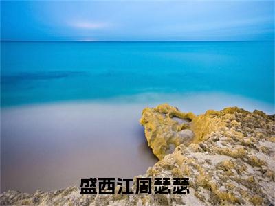 盛西江周瑟瑟免费（盛西江周瑟瑟）全文免费阅读无弹窗大结局_盛西江周瑟瑟免费最新章节列表_笔趣阁
