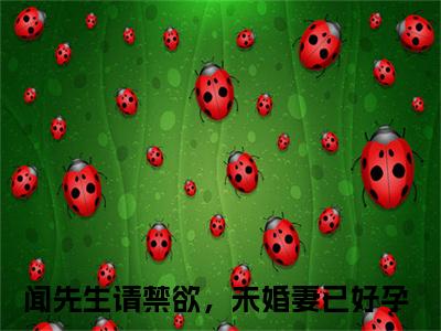 闻书砚沈知蒽（闻先生请禁欲，未婚妻已好孕）最新免费小说（闻书砚沈知蒽）全文大结局-闻先生请禁欲，未婚妻已好孕今日已更新最新章节