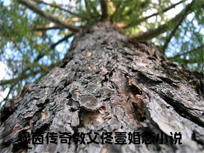 绿茵传奇教父佟壹在线阅读-正版小说《绿茵传奇教父佟壹》绿茵传奇教父佟壹全文阅读