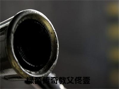 绿茵传奇教父佟壹精彩章节免费阅读-绿茵传奇教父佟壹小说完整版