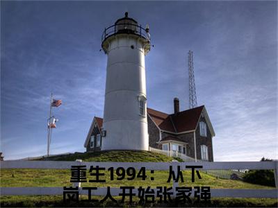 重生1994：从下岗工人开始张家强（重生1994：从下岗工人开始张家强）全文免费阅读无弹窗大结局_重生1994：从下岗工人开始张家强免费最新章节列表_笔趣阁