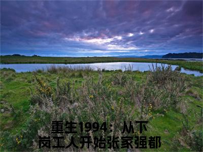 重生1994：从下岗工人开始张家强小说全文免费阅读无弹窗-重生1994：从下岗工人开始张家强全章节阅读
