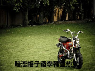 暗恋梅子酒李殊宜全文免费阅读无弹窗大结局_暗恋梅子酒李殊宜免费阅读最新章节列表_笔趣阁（暗恋梅子酒李殊宜）
