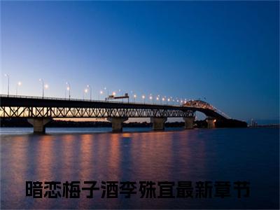 暗恋梅子酒李殊宜(暗恋梅子酒李殊宜)全文免费阅读无弹窗大结局_(暗恋梅子酒李殊宜小说全文大结局)最新章节列表_笔趣阁（暗恋梅子酒李殊宜）