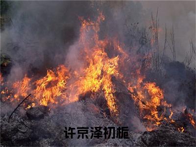 许京泽初栀全文（许京泽初栀）全文免费阅读无弹窗大结局_许京泽初栀最新章节列表_笔趣阁（许京泽初栀）