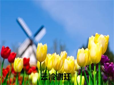 主人公叫云泠谢珏的小说哪里免费看云泠谢珏