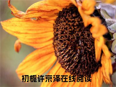 初栀许京泽（初栀许京泽）最新章节在线阅读 抖音新书热荐初栀许京泽