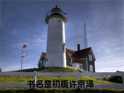 初栀许京泽（初栀许京泽）全文免费阅读无弹窗大结局_初栀许京泽完整版小说阅读