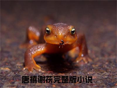 唐禧谢茯热门小说全文免费阅读无弹窗大结局-唐禧谢茯全文无弹窗免费阅读大结局