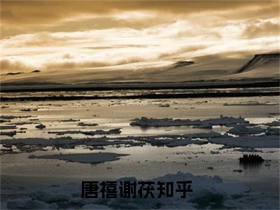 唐禧谢茯在线阅读无弹窗_唐禧谢茯最新章节列表_笔趣阁