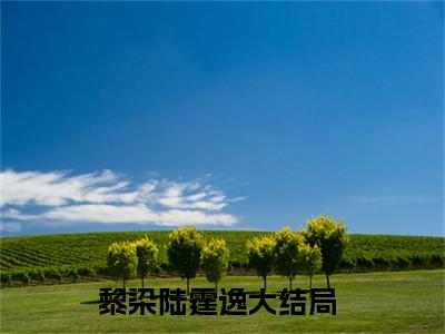 黎染陆霆逸小说(黎染陆霆逸)全文免费黎染陆霆逸阅读无弹窗大结局