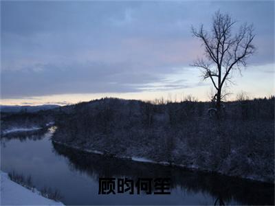 顾昀何笙全文免费阅读-（顾昀何笙）小说全文免费阅读正版无弹窗