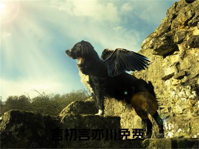 言初言亦川小说免费阅读无弹窗大结局-言初言亦川（言初言亦川）小说全文阅读